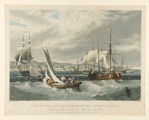 Näkymä New Yorkin karanteeniin, Staten Island. tekijältä William James Bennett