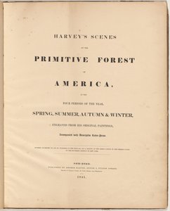 Harveyn kohtauksia alkumetsästä tekijältä William James Bennett, after George Harvey