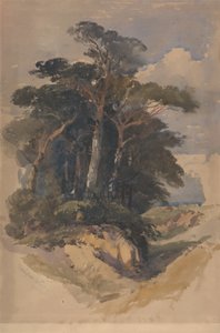 Pinheiros em Hampstead Heathfinnish tekijältä William James Muller