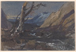  tekijältä William James Muller