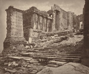 Propylaea lounaasta,1882 (kuva)
