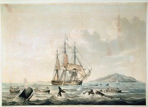 Etelämeren valaanpyynti, kaiverrettu T. Sutherlandin toimesta. tekijältä William John (after) Huggins