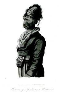 Muotokuva Speelmanista, hottentotista, 1814 tekijältä William John Burchell