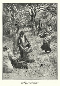 Siiderin omenoiden kerääminen (litografia) tekijältä William John Hennessy