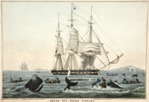 South Sea Whale Fishery, pub. 1825 (väriitografia)