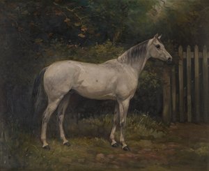 Suolakurkku: Basuto-poni, n. 1904 (öljy kankaalle) tekijältä William Josiah Redworth