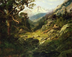 Maisema ja Mount Shasta