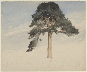 Skotlantilainen kuusi tekijältä William Leighton Leitch