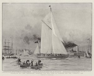 Westward Ho, Shamrock alkaa New Yorkista kilpailemaan America Cupista tekijältä William Lionel Wyllie