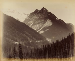 Ross Peak ja Loop nro 19:stä Snow Shedin kautta tekijältä William McFarlane Notman