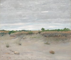 Tuulen pyytämä hiekka, 1894.