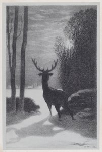 Stag in the Moonlight