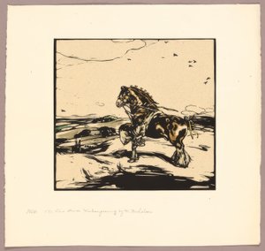 Shiren hevonen tekijältä William Nicholson