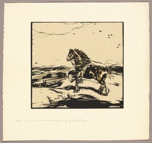 Shire Horse tekijältä William Nicholson