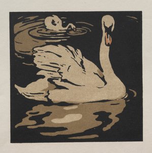 Eläinten neliökirja: Kaunis joutsen tekijältä William Nicholson