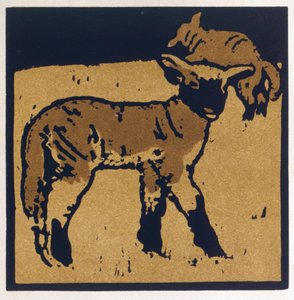 The Very Tame Lamb, kirjasta The Square Book of Animals, kustantaja William Heinemann tekijältä William Nicholson