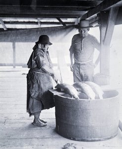 Indian Salmon Cleaner, lähellä New Westminsteriä, Brittiläinen Kolumbia (Kanadan maakunta)