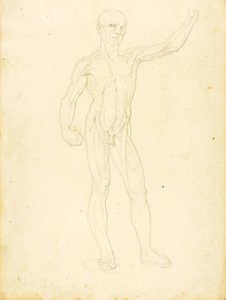 (Ecorche, etukuva) tekijältä William Page