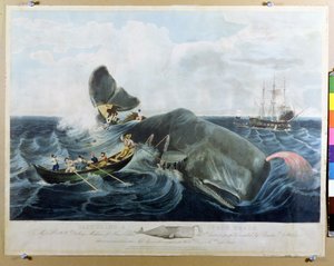 J. Hillin kaivertama Kaskelovalaan vangitseminen, julkaistu 1835