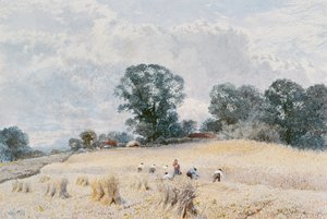 Sadonkorjuu tekijältä William Paton Burton