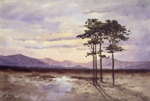 Auringonlasku, Sligon kreivikunta (akvarelli paperille) tekijältä William Percy French