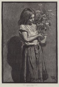 Hänen ainoa aarrensa tekijältä William Rainey