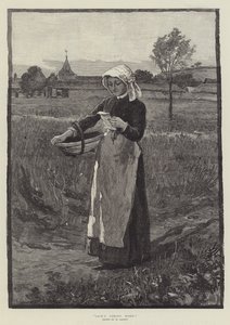 Jack tulee kotiin! tekijältä William Rainey