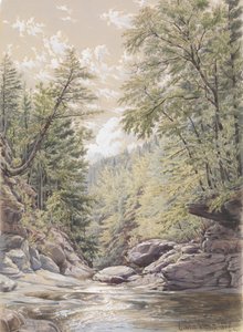 Catskill-neilikka Palingsvillessä, 1856.