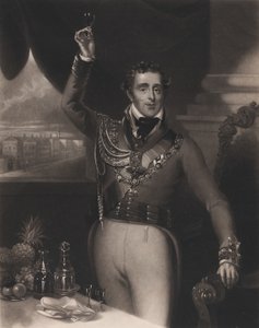Wellingtonin herttua, 1828.