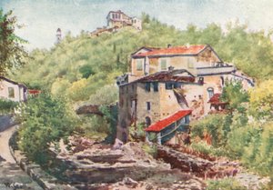 Oliivimylly, Dolcedo (värilitro) tekijältä William Scott