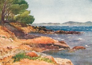 Rannalla lähellä Carqueirannea (värilitro)