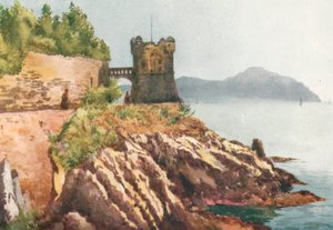 Promenadi, Nervi (värilitro) tekijältä William Scott