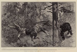 Kuvannut Yllätys, Bear-Shooting Indian Hill -asemalla