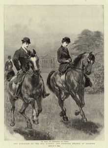 Duc D