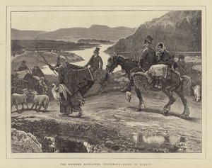 West Highlands, Connemara, menossa Marketille