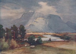Sadevuoret, 1910