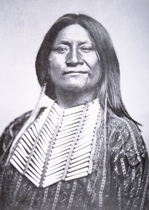 Comanche-heimon mies tekijältä William Soule