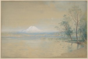  tekijältä William Stanley Haseltine