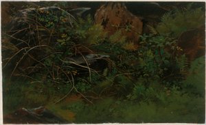 Luonnontutkielma tekijältä William Stanley Haseltine