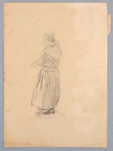 Tutkimus naisesta tekijältä William Stanley Haseltine