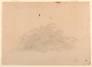 Lehdistöjen tutkimus tekijältä William Stanley Haseltine