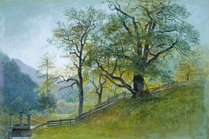 Vahrn Tirolissa lähellä Brixeniä. tekijältä William Stanley Haseltine