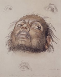 Tutkimus itä-intiaanien päästä, n. 1875 (kynä ja pesuaine paperille) tekijältä William Strutt