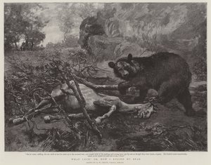 Mikä onni! tai Kuinka minä tapoin karhuni tekijältä William Strutt