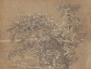 Lehvistö tekijältä William Trost Richards