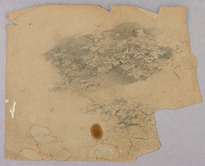 Lehdistöjen tutkimus tekijältä William Trost Richards