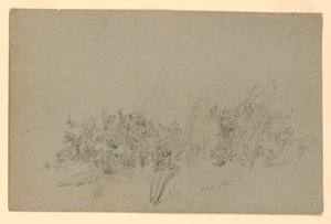 Lehdistöjen tutkimus tekijältä William Trost Richards
