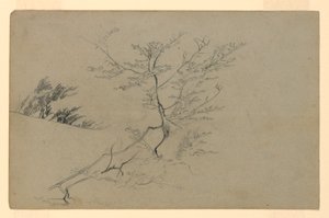 Lehdistöjen tutkimus tekijältä William Trost Richards