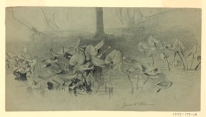 Lehdistöjen tutkimus tekijältä William Trost Richards