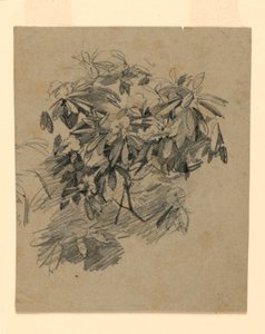 Lehdistöjen tutkimus tekijältä William Trost Richards